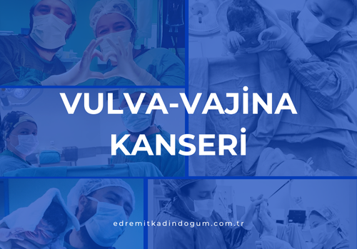 Vulva-Vajina Kanseri