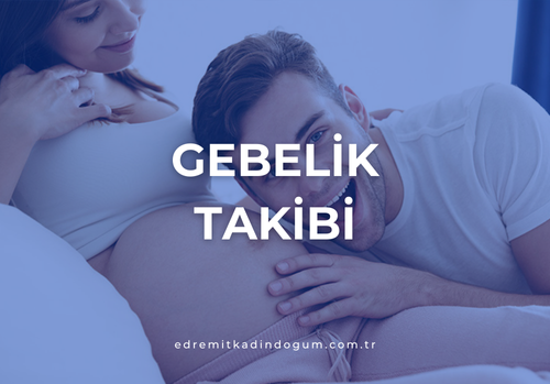 Gebelik Takibi